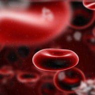 Заболевания крови: список самых распространенных и тяжелых болезней