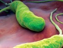 Когда назначается бактериальный посев из цервикального канала?
